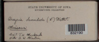 Image Associated With the Occurence